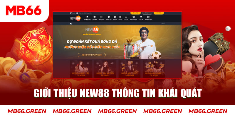 79king9 c1 gà chọi