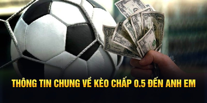 79king9 nổ hũ b29 là gì