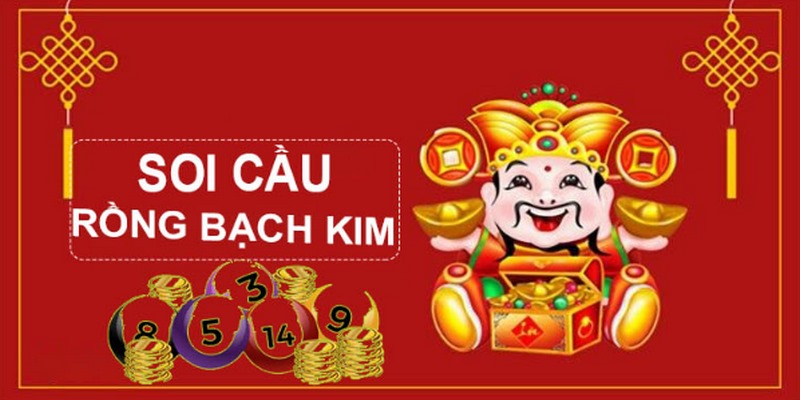 79king9 gà chọi