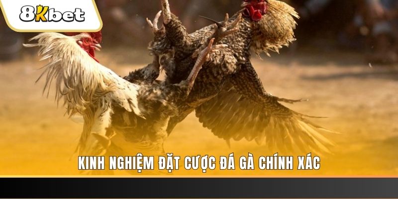 79king9 xổ số thứ bảy hàng tuần