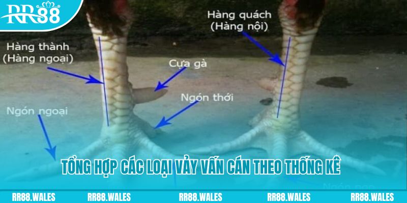 79king9 casino hồ tràm có cho người việt vào không