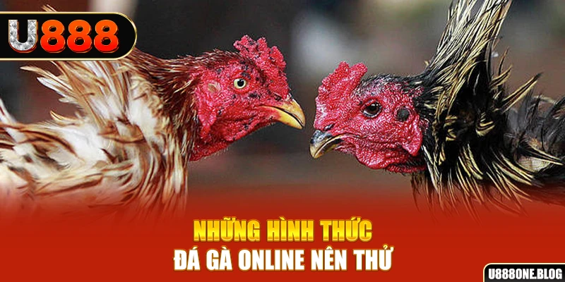 79king9 nổ hũ ai là gì