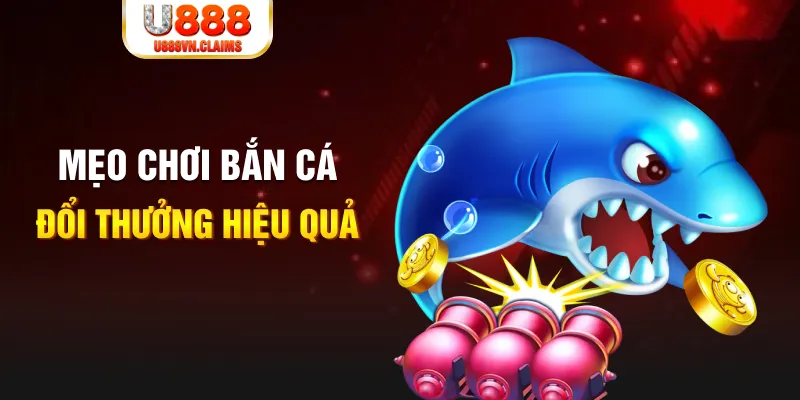79king9 gà chọi cam ranh