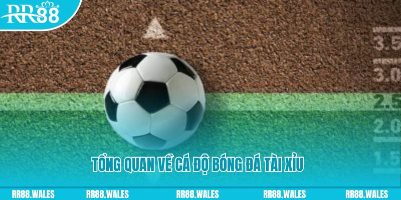 79king9 đăng nhập roulette online
