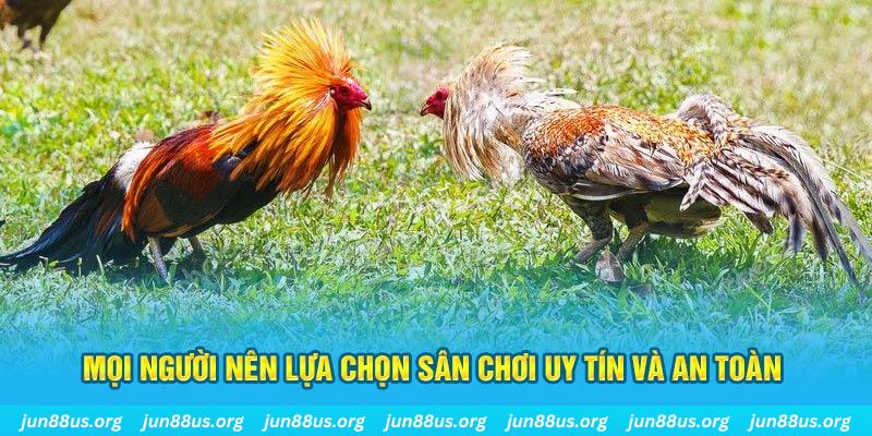 79king9 Cỡ bảy