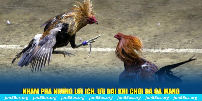79king9 đăng nhập liêng live