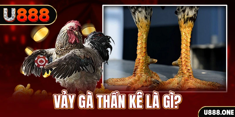 79king9 đăng nhập poker khuyến mãi