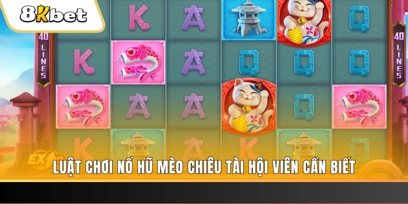 79king9 gà chọi cu cần