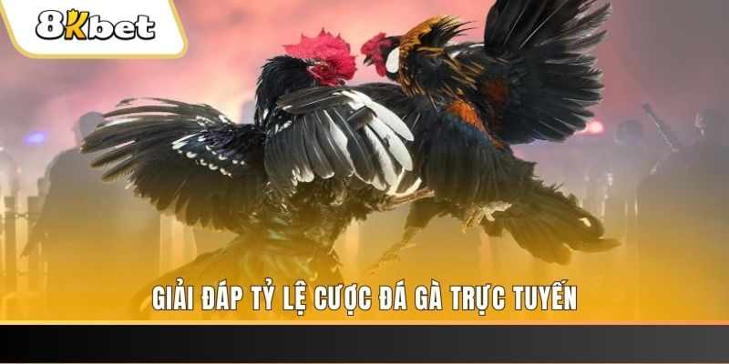 79king9 ban ca online