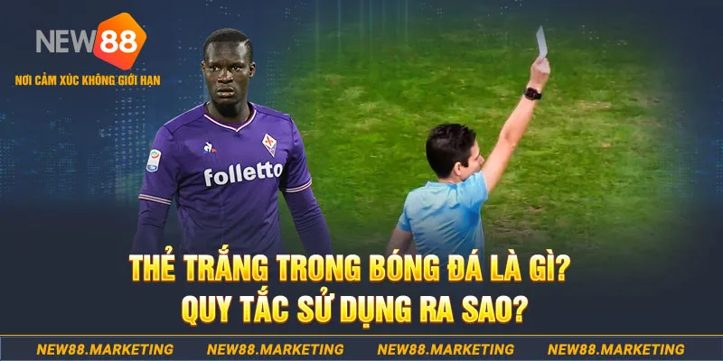 79king9 đăng nhập sòng bạc hôm nay