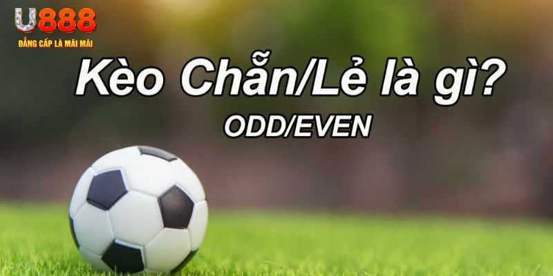 79king9 đăng nhập sòng bạc 2024