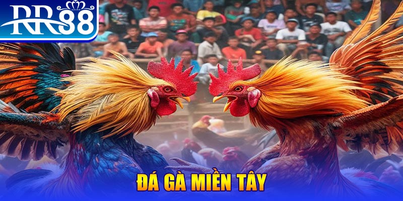 79king9 người chia bài trong casino gọi là gì