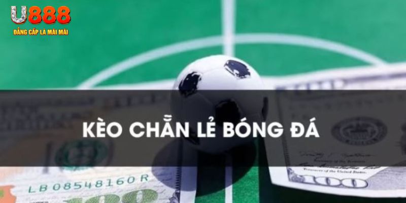 79king9 gà chọi c1.tv