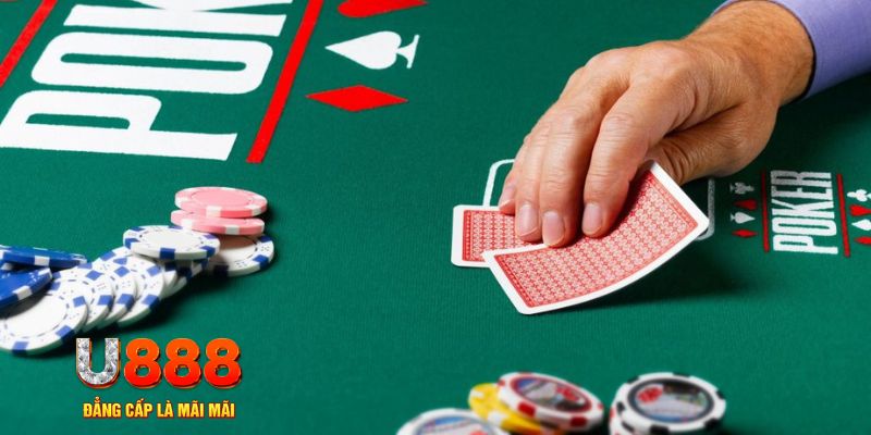 79king9 đá gà 88