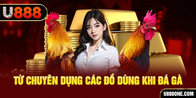 79king9 đá gà trực tiếp campuchia